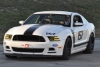 2013MustangGT's Avatar